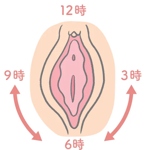 膣マッサージを行う方向の目安がわかる画像