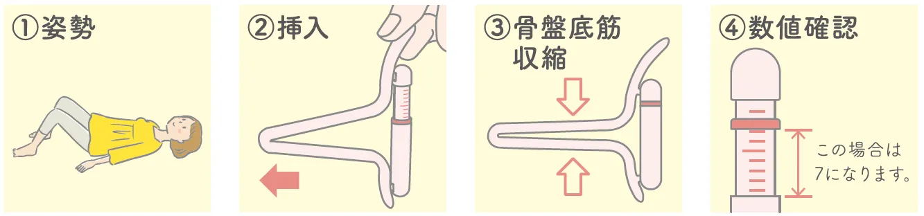 骨盤底筋トレーニング_図解