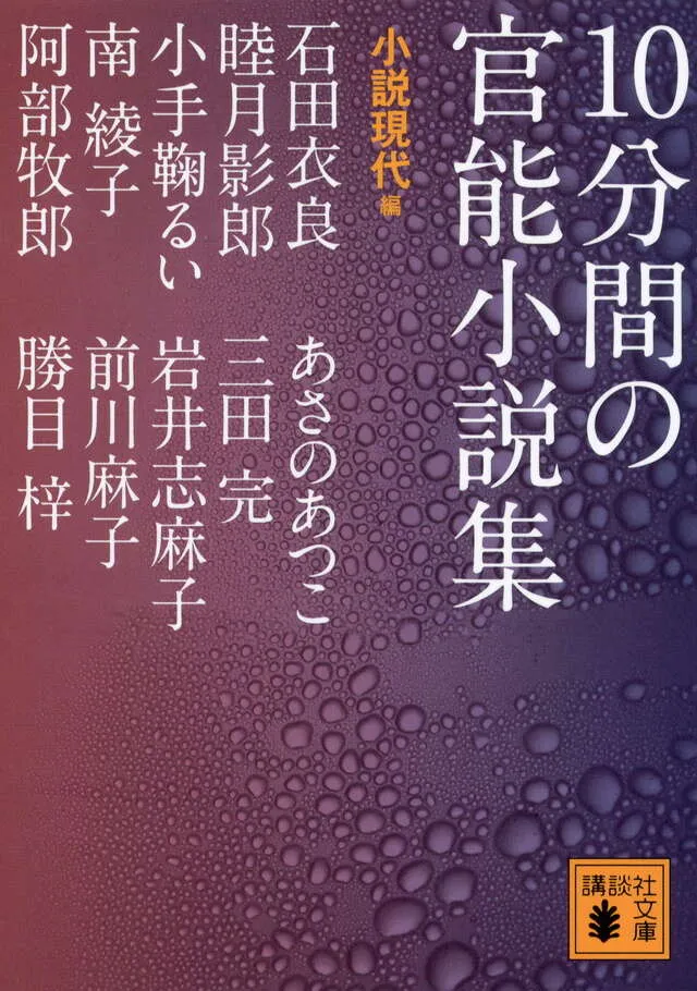 10分間の官能小説集_表紙画像